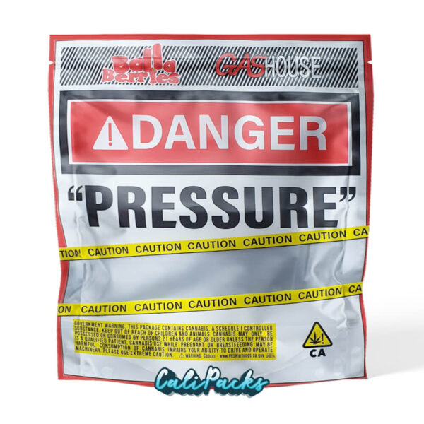 1Lb (16 Ounce) Mylar Bags – Choose your bag - Image 19