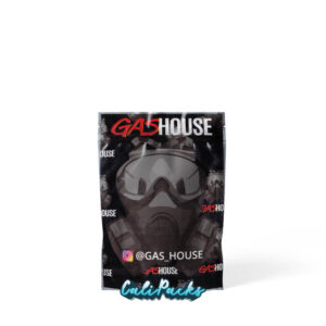 Gas House v2 2020 3.5g Mylar Bag Printed Mylar Bag